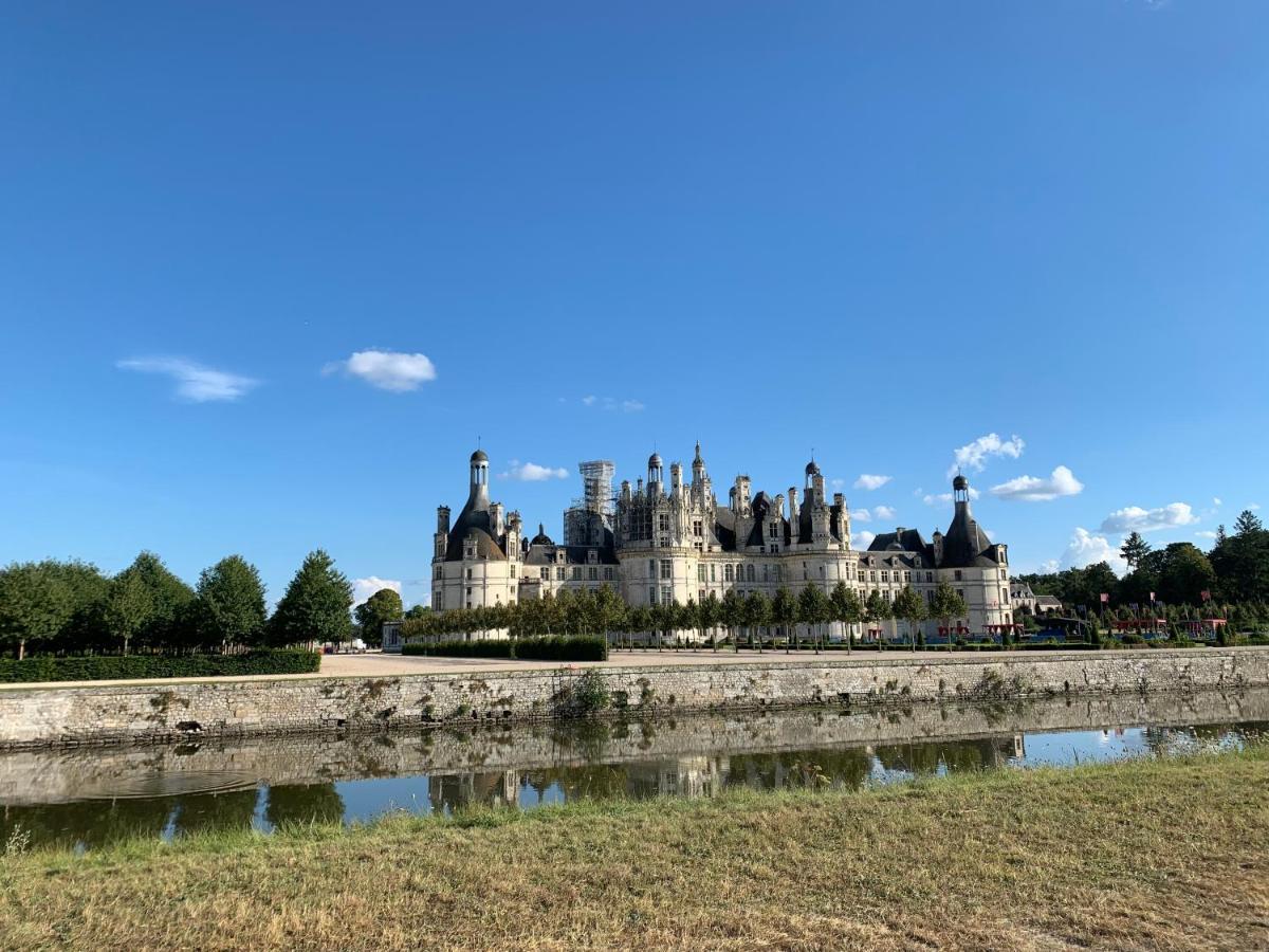 Au Coeur Des Chateaux Chambon-sur-Cisse Exterior photo
