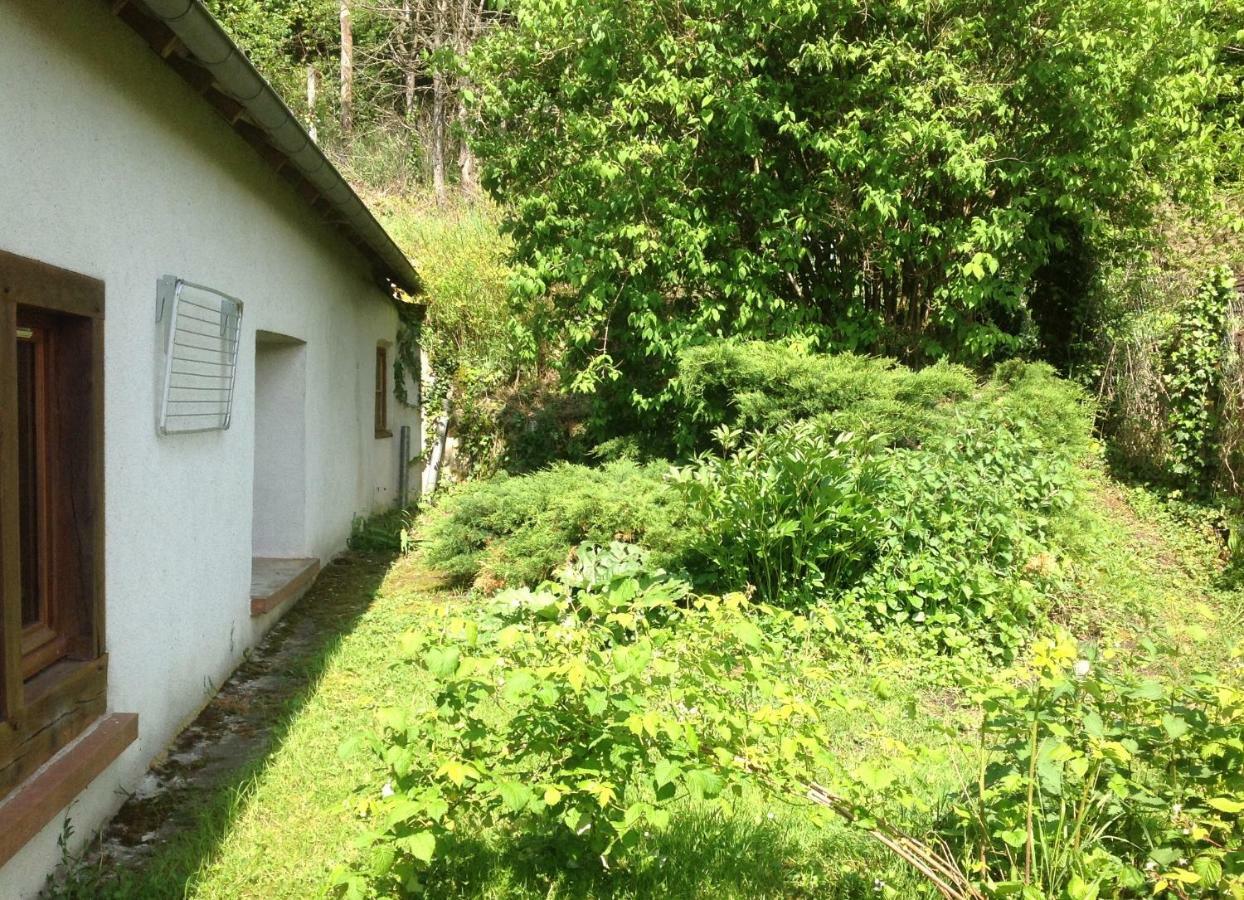 Au Coeur Des Chateaux Chambon-sur-Cisse Exterior photo